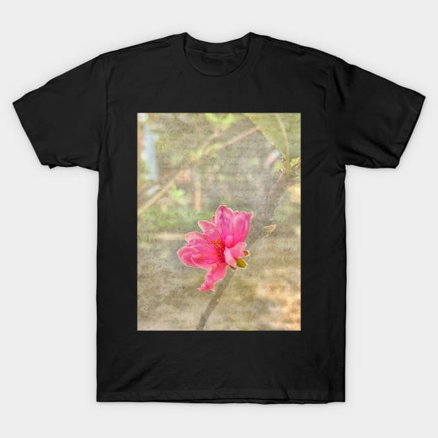 Peach tree blossom with texture T-Shirt by RosNapier